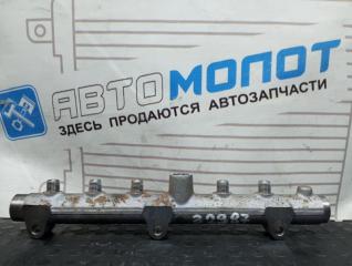 Запчасть топливная рампа Hyundai Grand Starex