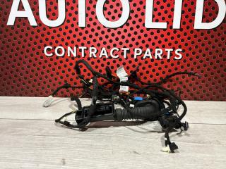 Проводка двери задней левой BMW X1 2019