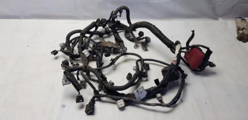 Запчасть проводка двс Toyota Raum 2008