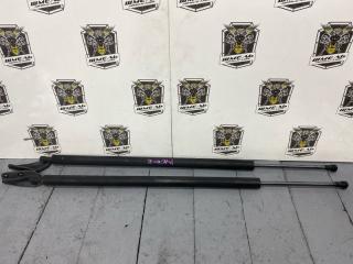 Запчасть амортизатор двери багажника NISSAN NV200 2009/ЦВЕТ QM1/ПРОБЕГ 104863КМ
