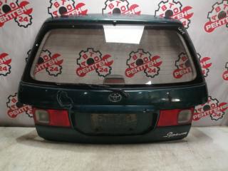 Дверь багажника Toyota Ipsum 2000