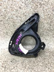 Ободок туманки правый передний MAZDA DEMIO DJ3FS D09J-50C11 1 ракурс