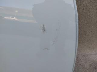 Дверь правая задняя ALFA ROMEO GIULIETTA 940 940A2000 50509298 2 ракурс Дверь правая задняя ALFA ROMEO GIULIETTA 940 940A2000 50509298 2 ракурс