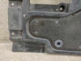 Защита LEXUS LS460 USF40 1UR-FSE 58166-50032 4 ракурс