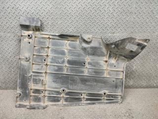 Защита LEXUS LS460 USF40 1UR-FSE 57627-50020 4 ракурс