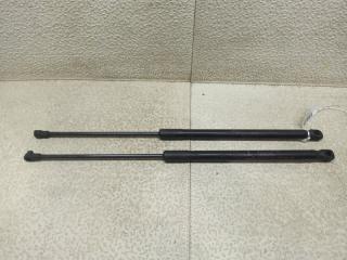 Амортизатор капота LEXUS RX270 AGL10 1AR-FE 1 ракурс Амортизатор капота LEXUS RX270 AGL10 1AR-FE 1 ракурс