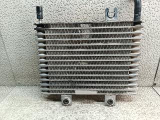 Радиатор масляный NISSAN TERRANO TR50 ZD30 95348-86457 3 ракурс