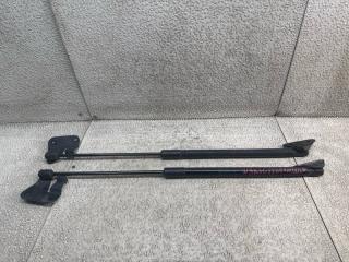 Амортизатор задней двери BMW X1 E84 N52B30AE 1 ракурс