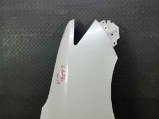 Крыло правое переднее NISSAN ELGRAND TNE52 QR25DE 631001JB0B 4 ракурс