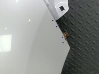 Крыло правое переднее NISSAN ELGRAND TNE52 QR25DE 631001JB0B 5 ракурс