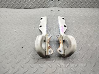 Петля капота SUZUKI AERIO RD51S 2 ракурс