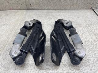 Петля капота AUDI TT 8J3 BWA 1 ракурс