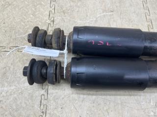 Амортизатор передний FORD F-150 FORD MODULAR F75A-18045-ACA 2 ракурс
