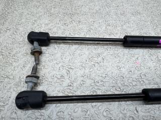 Амортизатор капота FORD F-150 FORD MODULAR F65B16C826 2 ракурс