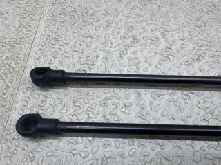 Амортизатор капота BMW 1-SERIES E87 N45B16AC 51237118370 2 ракурс