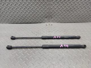 Амортизатор задней двери VOLKSWAGEN PASSAT B7(365) CAX 3AF827550B01S 1 ракурс