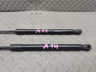 Амортизатор задней двери VOLKSWAGEN PASSAT B7(365) CAX 3AF827550B01S 2 ракурс