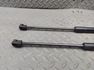 Амортизатор задней двери VOLKSWAGEN PASSAT B7(365) CAX 3AF827550B01S 3 ракурс