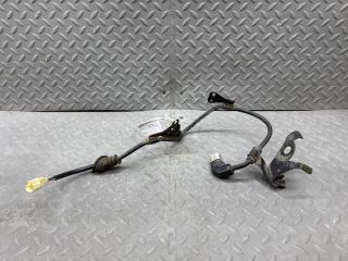 Электропроводка левая задняя TOYOTA VELLFIRE AGH35 2AR-FE 8282178020 1 ракурс