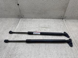 Амортизатор задней двери VOLKSWAGEN TOURAN 1T3 CTH 1T0827550J02S 1 ракурс