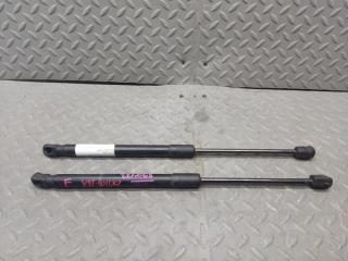 Амортизатор капота NISSAN FUGA Y51 VQ25HR 65470-1MA0A 1 ракурс