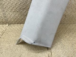 Накладка на стойку кузова левая задняя VOLKSWAGEN PASSAT B7 (365) CAX 3C9867241 3 ракурс