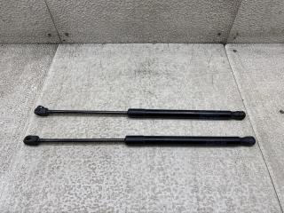 Амортизатор задней двери VOLKSWAGEN PASSAT B7 (365) CAX 3AF827550B 1 ракурс