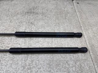 Амортизатор задней двери VOLKSWAGEN PASSAT B7 (365) CAX 3AF827550B 2 ракурс