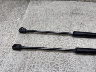 Амортизатор задней двери VOLKSWAGEN PASSAT B7 (365) CAX 3AF827550B 3 ракурс