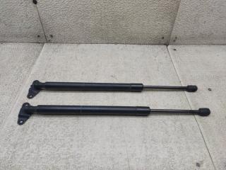 Амортизатор задней двери VOLKSWAGEN TOURAN 1T3 CAVB 1T0A827550 1 ракурс