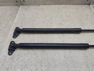 Амортизатор задней двери VOLKSWAGEN TOURAN 1T3 CAVB 1T0A827550 2 ракурс