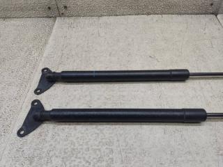 Амортизатор багажника VOLKSWAGEN TIGUAN 5N1 CCZ 5N0827550 2 ракурс