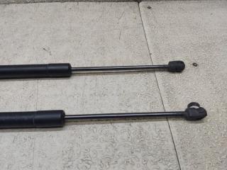 Амортизатор багажника VOLKSWAGEN TIGUAN 5N1 CCZ 5N0827550 3 ракурс