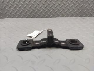 Петля замка багажника VOLKSWAGEN PASSAT B7 (365) CAX 3C9827507 1 ракурс