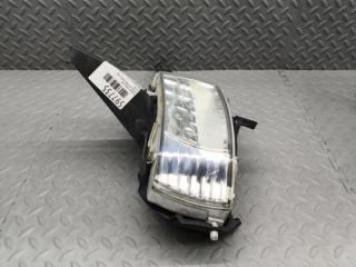 Туманка левая передняя TOYOTA ESTIMA ACR50 2AZ-FE 12-495 4 ракурс Туманка левая передняя TOYOTA ESTIMA ACR50 2AZ-FE 12-495 4 ракурс