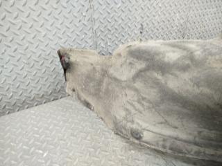 Подкрылок левый задний TOYOTA CAMRY AXVH70 A25A-FXS 65638-33080 2 ракурс