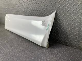 Накладка на дверь правая передняя TOYOTA ESTIMA ACR50 2AZ-FE 76925-28110 3 ракурс