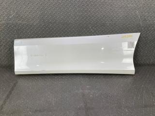 Накладка на дверь левая задняя TOYOTA ESTIMA ACR50 2AZ-FE 76928-28060 1 ракурс