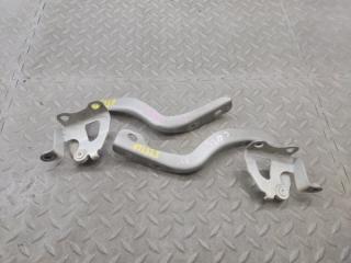 Петля капота DAIHATSU TANTO EXE L455S 3 ракурс