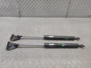 Амортизатор задней двери HONDA CROSSROAD RT1 R18A 1 ракурс