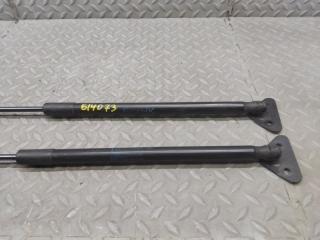 Амортизатор задней двери BMW X1 E84 N46B20BD 51242990136 2 ракурс