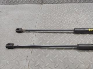 Амортизатор задней двери BMW X1 E84 N46B20BD 51242990136 3 ракурс