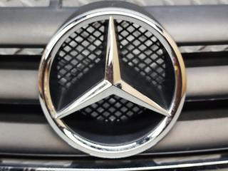 Решетка радиатора MERCEDES-BENZ A-CLASS W169 M266 E17 (266.940) 1698800083 5 ракурс