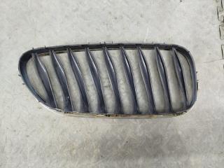 Решетка радиатора BMW Z4 E85 51137051960 5 ракурс Решетка радиатора BMW Z4 E85 51137051960 5 ракурс
