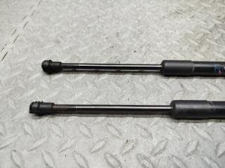 Амортизатор капота BMW X1 E84 N46B20A 51232990344 3 ракурс