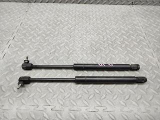 Амортизатор капота FORD EXPLORER Sport Trac 2007