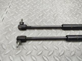 Амортизатор капота FORD EXPLORER Sport Trac U251 COLOGNE V6 6L2416C826CA 3 ракурс