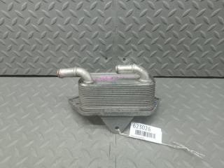 Радиатор масляный AUDI A6 4F BDX 06E117021G 1 ракурс