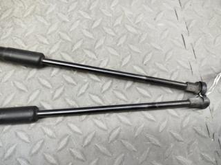 Амортизатор багажника VOLVO C30 MK43 B4204S3 31278323 2 ракурс