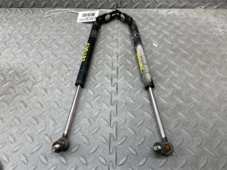 Амортизатор капота NISSAN SKYLINE HR33 RB20E 1 ракурс
